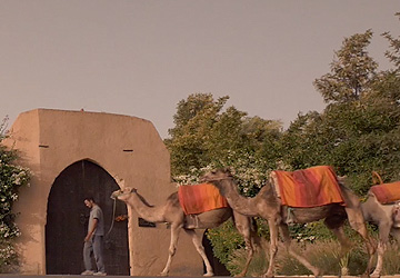 Hewlett Packard Colombia Fixers Medellin