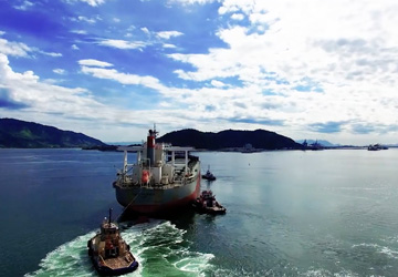 Impala - Colombia Fixers